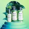 Bioré Clean Detox Toner 8 fl oz(8 Fl Oz (Pack of 1))
