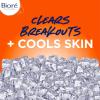 Biore Blemish Fighting Ice Cleanser Face Wash with Salicylic Acid, Clears and Helps Prevent Acne Breakouts, Cools & Refreshes Skin, Oil Free, 6.77 Oz(6.77 Fl Oz (Pack of 3))