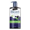 Biore Deep Pore Charcoal Face Wash, Daily Facial Cleanser for Dirt & Makeup Removal, for Oily Skin, 6.77 Oz, Pack of 3(6.77 Ounce (Pack of 1))